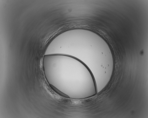 X0000116270405200911301021