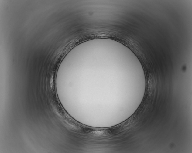 X0000116270406200911301021