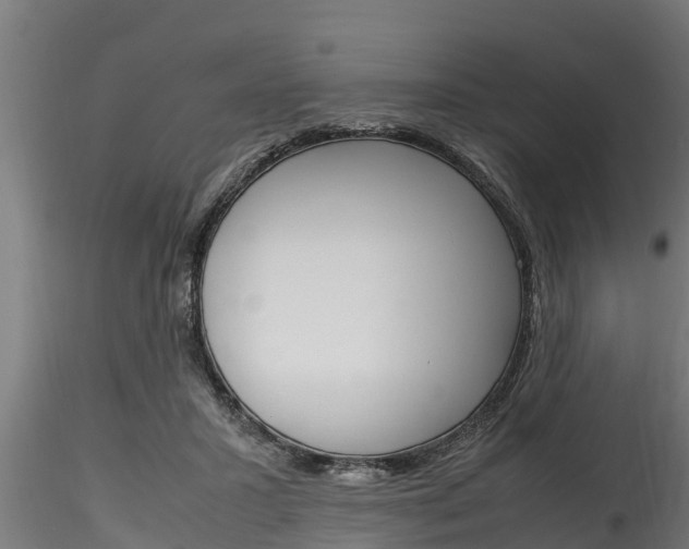 X0000116270407200911301021