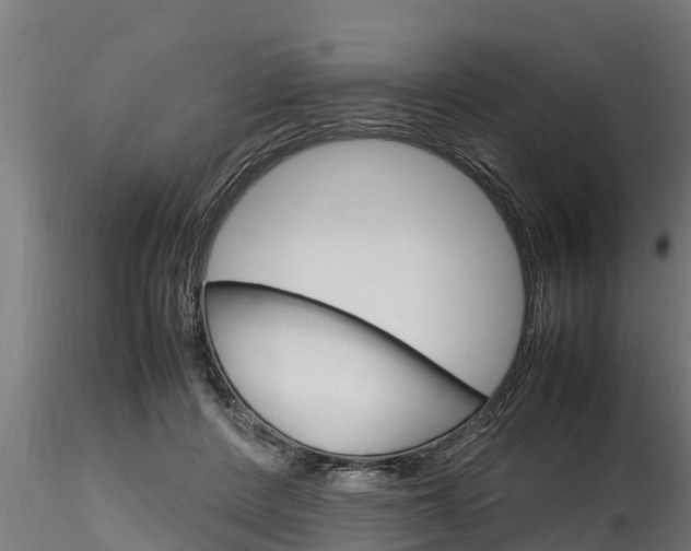 X0000116270408200911301021