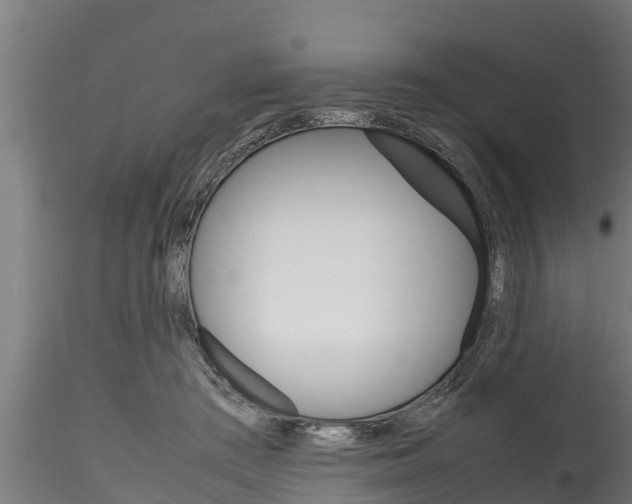 X0000116270409200911301021