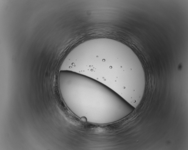 X0000116270412200911301021
