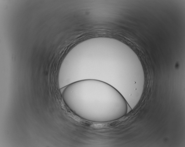 X0000116270417200911301021
