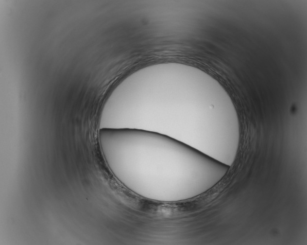 X0000116270420200911301021