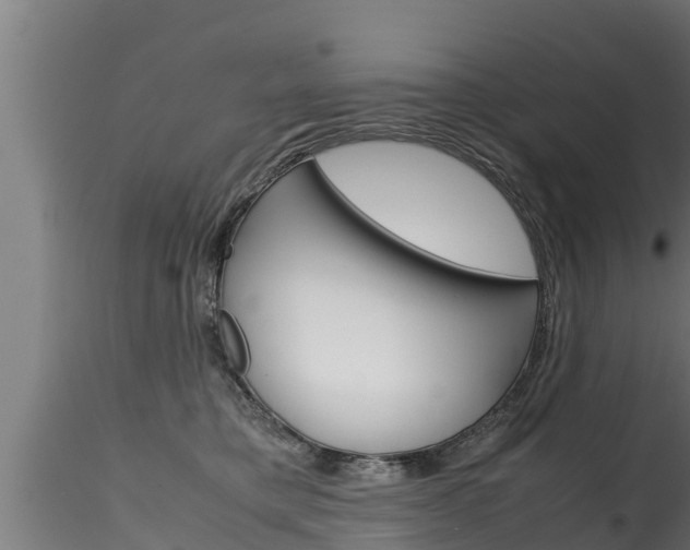 X0000116270421200911301021
