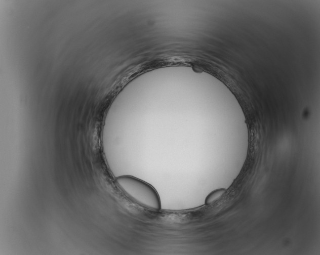 X0000116270422200911301021