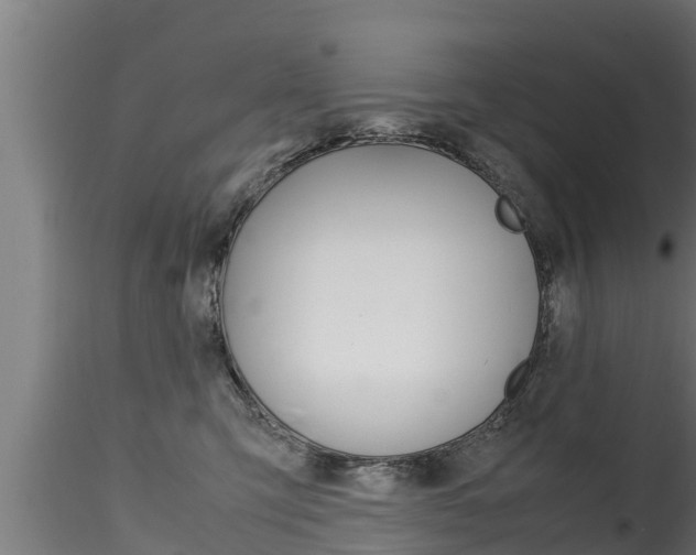 X0000116270423200911301021