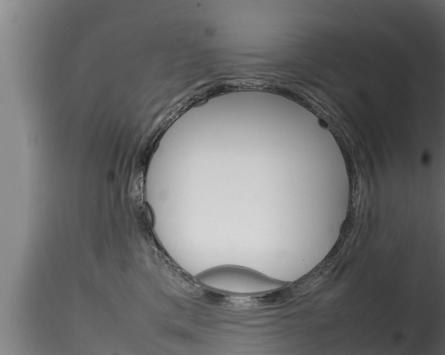 X0000116270425200911301021
