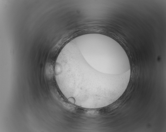 X0000116270426200911301021