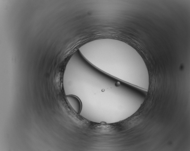 X0000116270428200911301021