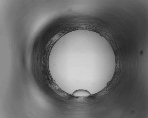 X0000116270430200911301021