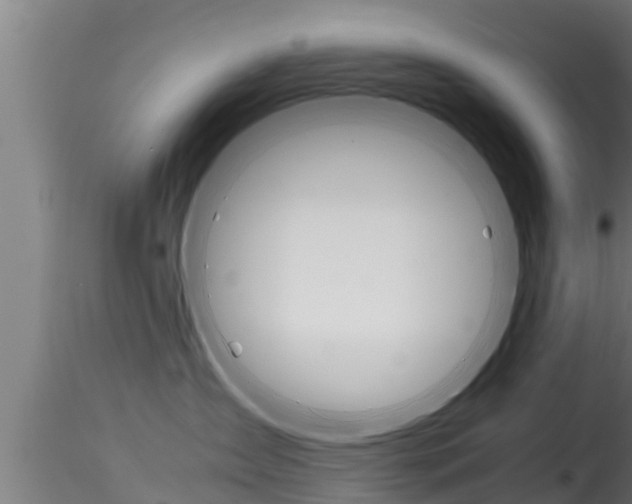 X0000116270431200911301021