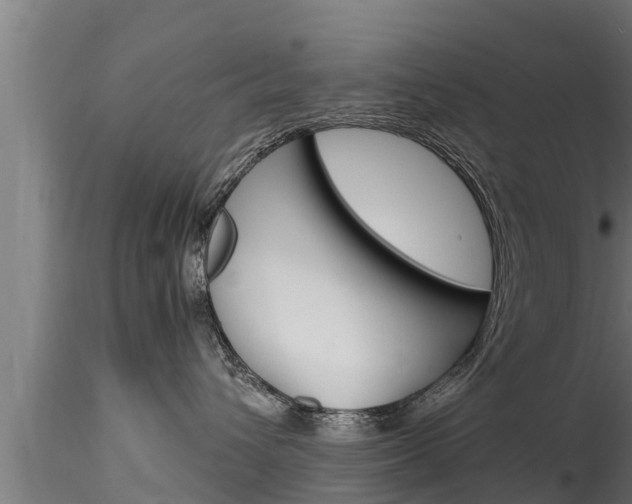 X0000116270432200911301021