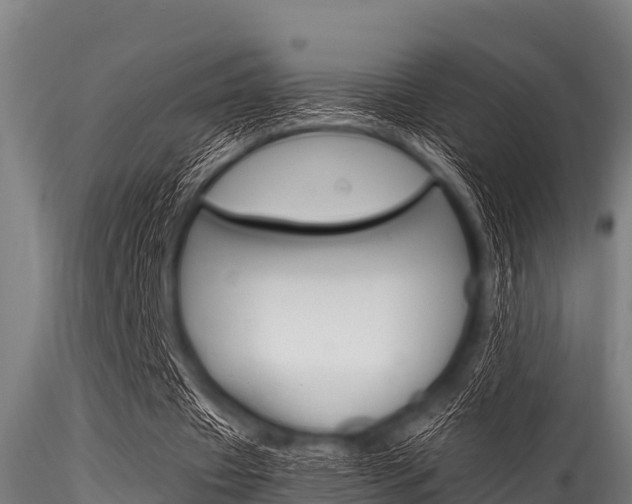 X0000116270433200911301020