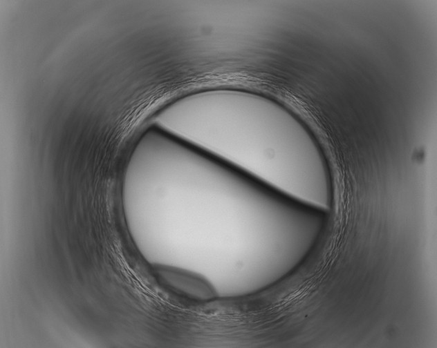 X0000116270434200911301020