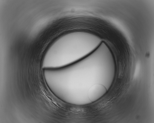 X0000116270435200911301020