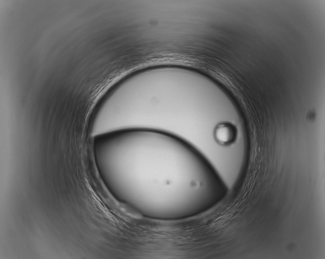 X0000116270436200911301020