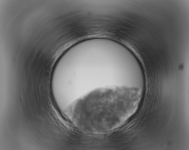 X0000116270437200911301020