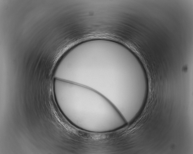 X0000116270438200911301020