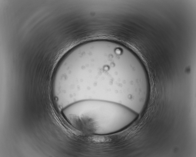 X0000116270439200911301020