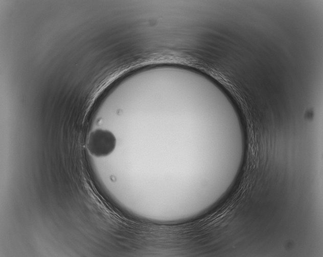 X0000116270440200911301020