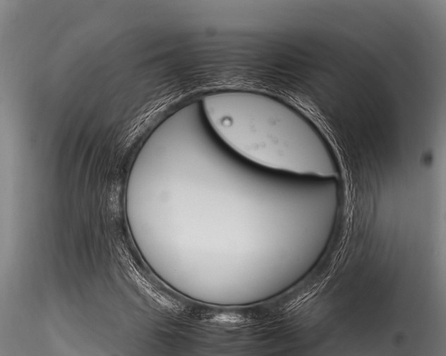 X0000116270441200911301020