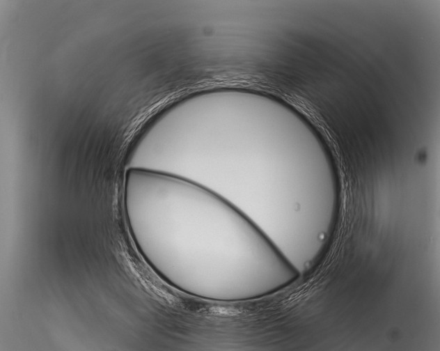 X0000116270442200911301020