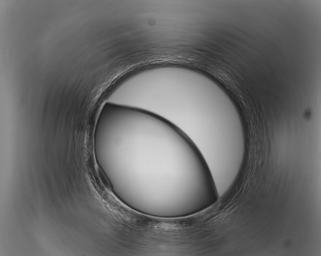 X0000116270444200911301020