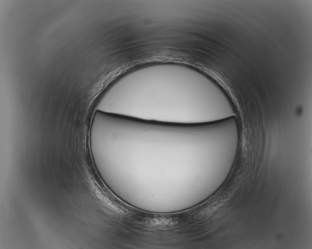 X0000116270445200911301020
