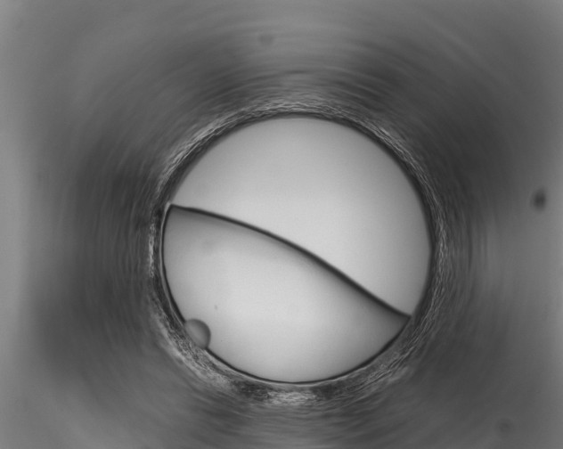 X0000116270446200911301020