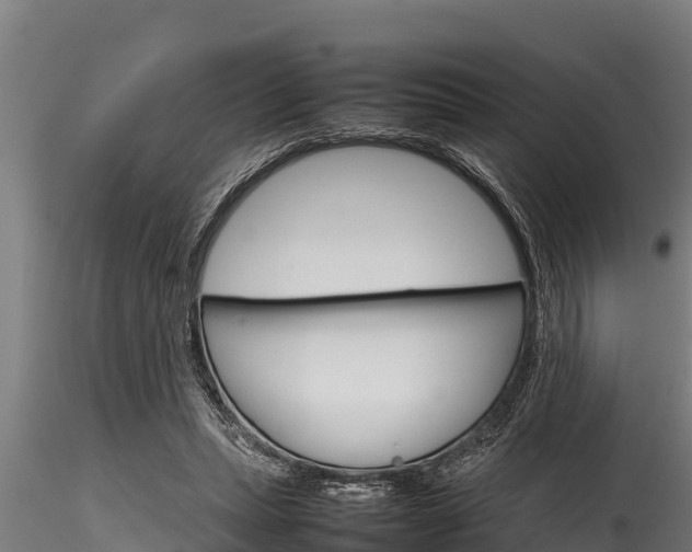 X0000116270447200911301020