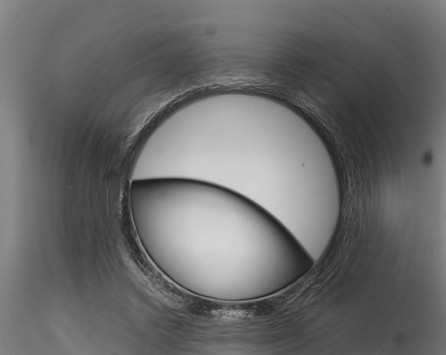 X0000116270448200911301020