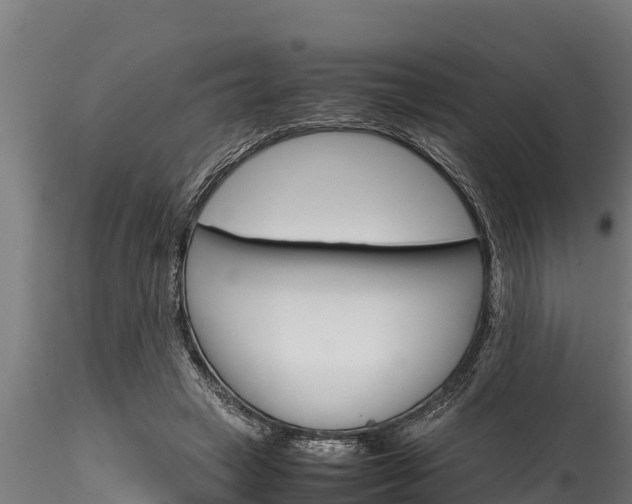 X0000116270449200911301020