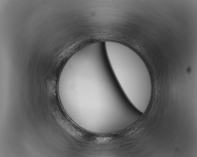 X0000116270450200911301020