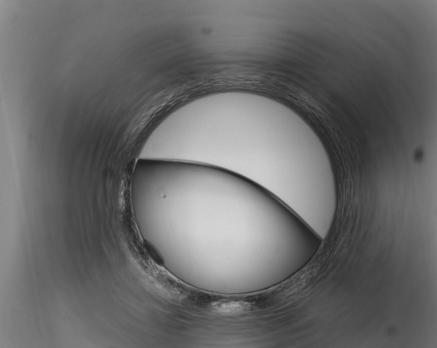 X0000116270452200911301020