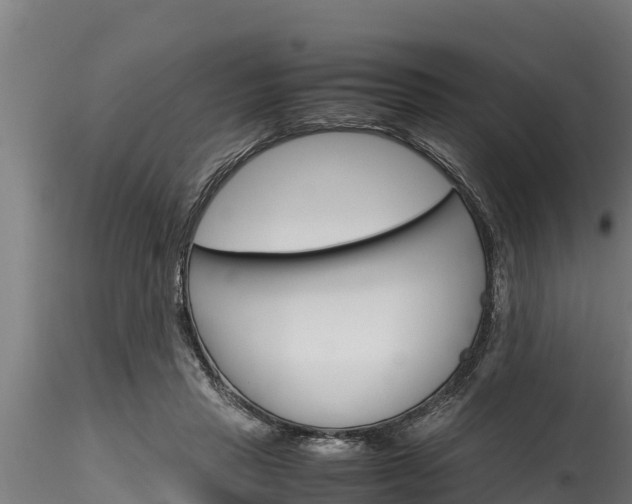 X0000116270453200911301020