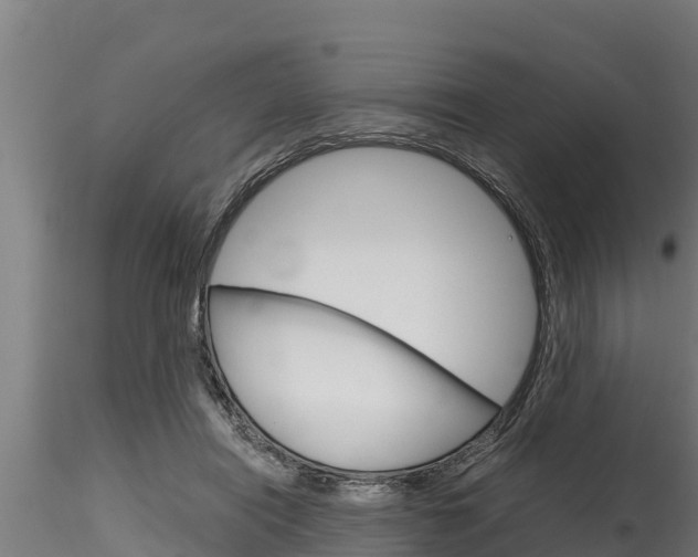 X0000116270454200911301020