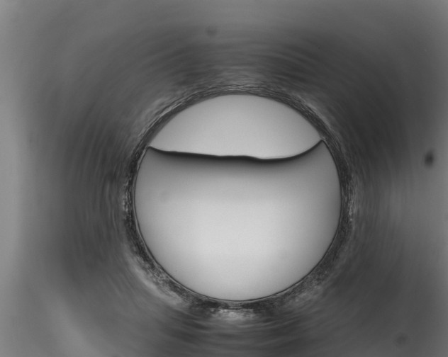 X0000116270455200911301020