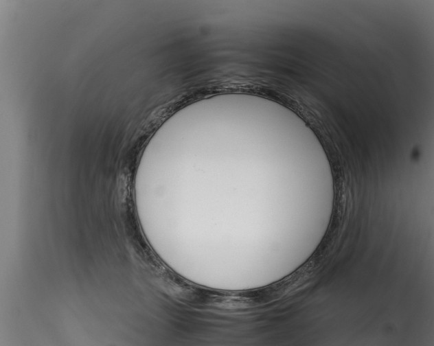 X0000116270463200911301021