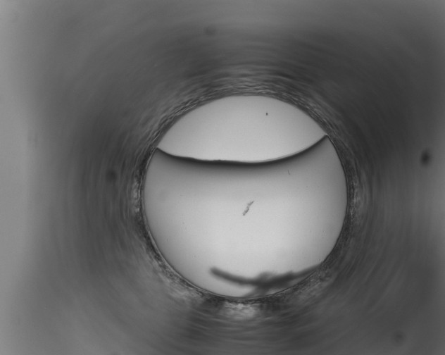 X0000116270469200911301021