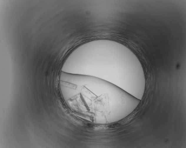 X0000116270470200911301021