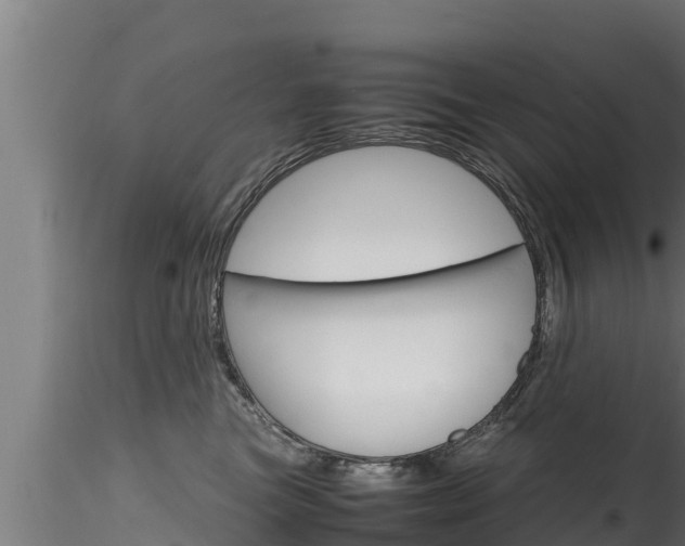 X0000116270473200911301021