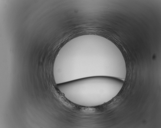 X0000116270476200911301021