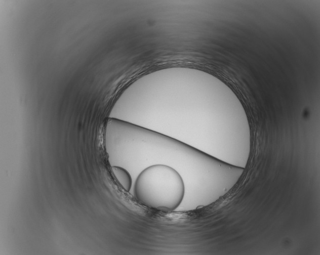 X0000116270478200911301021