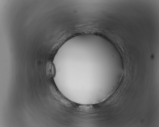 X0000116270480200911301021