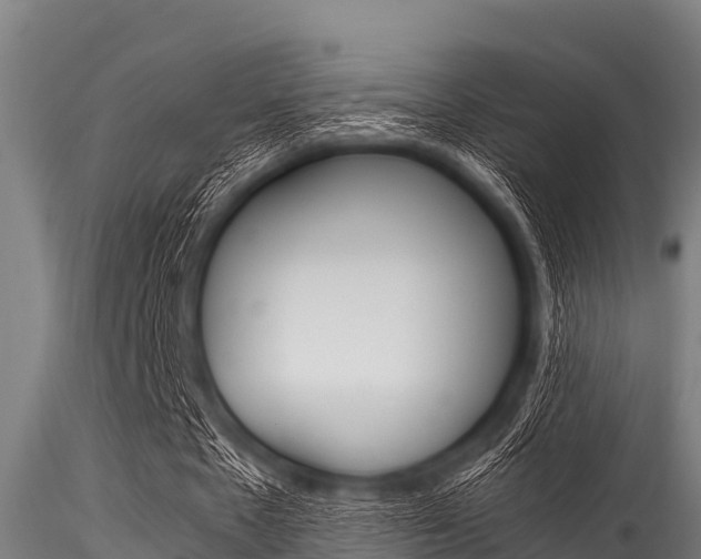 X0000116270481200911301020