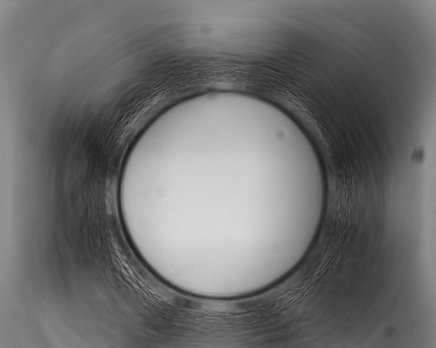 X0000116270482200911301020