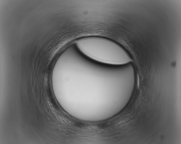X0000116270483200911301020
