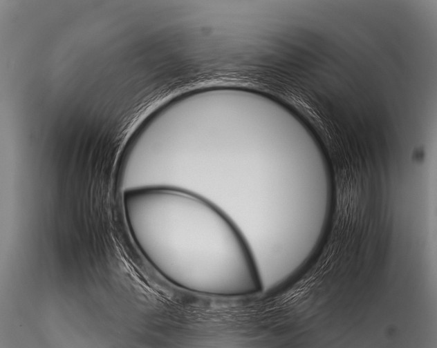X0000116270484200911301020