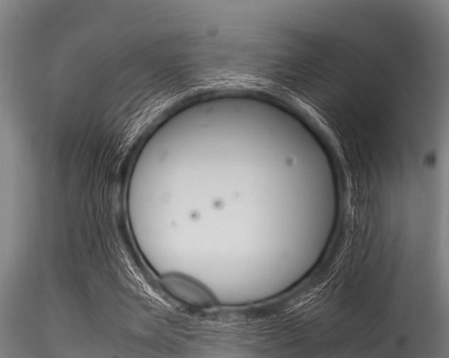 X0000116270485200911301020